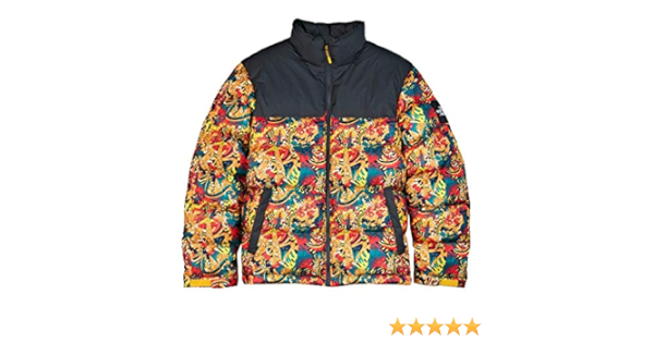 north face multicolor coat
