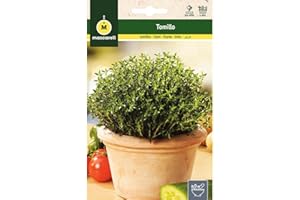 M MASCARELL SEMILLAS DESDE 1920 Mascarell Semillas, TOMILLO, Semillas de Hierbas Aromáticas para Plantar, Crea tu Propio Huerto en Casa. 0,5 Gramos