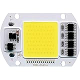 Tesfish LED Licht Motor weiß 50W 220V COB Chip Eingang Integrierter Smart IC Treiber für Floodlight