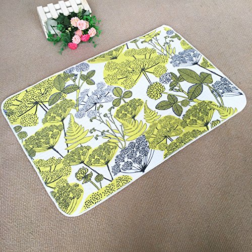 Preisvergleich Produktbild Leyan-Matten / Badematte / Teppich / Anti-Statik / Bad / Bad / Wohnzimmer / Schlafzimmer / Fußauflage / Teppich / Türmatte / Decke