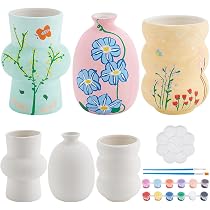 WEBEEDY Set da colorare in ceramica, per adulti e principianti, per