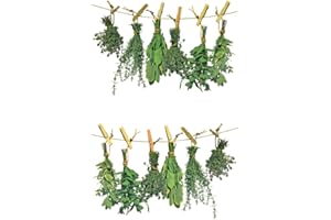 ewtshop® Naklejki na okno zioła, zioła, obrazy okienne, naklejki na okno, tatuaż okienny, folia okienna, naklejki na płytki, wielokrotne