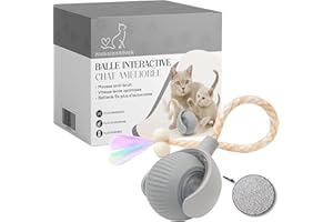 INNOVATION WINNER Balle Interactive Chat VERSION AMÉLIORÉE | Jouet Magique Automatique | Jeu D’intérieur Captivant pour Chaton et Chats Adultes | Idéal en Appartement ou Maison grâce a la Boule Interactif