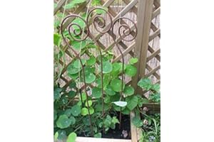 DEKO-IMPRESION Set, 3 Stück, Gartenstab Schnecke, Rankstab, Rosenstab,Rost,100 cm, Eisen