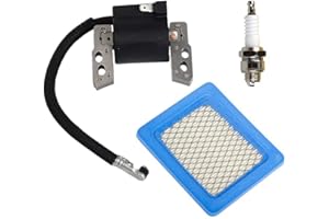 OUYFILTERS OxoxO Bobine Ignition avec Filtre à air 491588 491588S pour Moteur Briggs & Stratton Compatible with 695711 802574 493237 796964 492416.