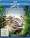 Produktbild Weltnaturerbe Costa Rica 3D - Guanacaste Nationalpark (+ 2D Version) [Blu-ray 3D]