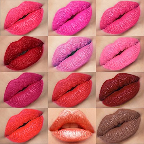 DiChi Lippenstift Gloss Set 12x Matt Lippenstift, Wasserdichtes,Mit Aufbewahrungstasche, #01- #12 - 4