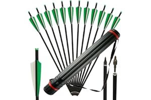 BILBEAR 12pcs Crossbow Bolts Carbon Arrows 16 20 Inch With 100 Grain Replaceable Arrow Points Broadhead for Crossbow Archery Hunting Green With Stretchable Quivers