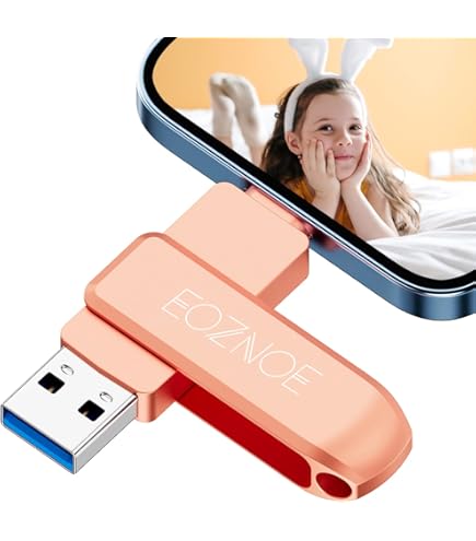 Chiavetta USB 3.0 MFi Certified 256 GB Per IPhone - Lightning, USB C, USB 3.0, Backup Sicuro