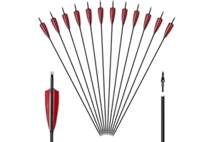 Huntingdoor 12 pièces Flèche en Carbone 30 Pouces Flèches de Chasse à la 500 Spine avec Embouts Amovibles pour la Chasse de tir à l'arc Adultes Arc Classique Arc Long Cible d'entrainemen