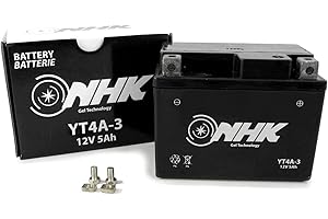 AREA LONGBOARD Wartungsfreie Gel Batterie 5Ah kompatibel mit Explorer Race GT50 Limited, Spin GE50 Blue Edition, Hi 50, City Star (YY50QT), Retro Star (YY50QT-15) (YT4A-3)