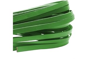 ‎ESNADO esnado Lederband Flach 10 mm x 2 mm. Grün - 5 Meter