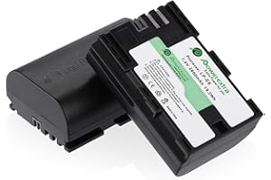 Powerextra LP-E6 LP-E6n Battery 2 Pack 2600mAh,Compatible with Canon EOS 80D,90D,5D Mark II,III,IV,5DS,5DS R,6D,60D,6D Mark II,7D,7D Mark II,70D,XC15,RA,R5,R6,BMPCC 4k 6k Cameras