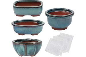 kilofly Happy Bonsai Lot de 4 mini pots vitrés avec 4 grilles de drainage en maille souple
