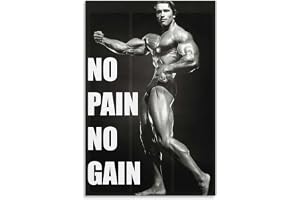 KFMD Empire - Vintage plakat av Arnold Schwarzenegger med texten på engelska "No Pain No Gain" (50 x 75 cm)