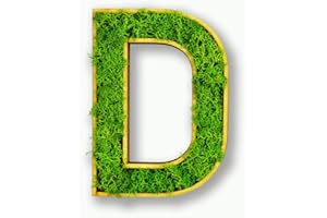 ‎MOOSLY Moosly® Moosbild - D - mit Rahmen aus Holz, Moos Deko Buchstaben Zeichen Symbol Zahl Holzbuchstabe mit echtem Islandmoos Wandtattoo Wandsticker Wandbild selbstklebend Wohnzimmer (105 D)