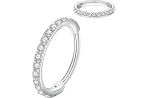 Artskin Grad 23 Titanium Scharnier Nase Ringe Hoops Körper Piercing Ringe Helix Knorpel Rook Ohrringe 20G 18G 16G, Durchmesser 6mm-10mm Schwarz/Silber/Gold/Rose Gold/Pink