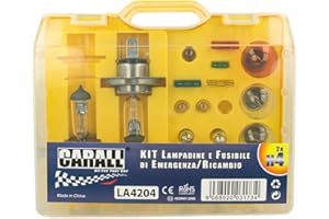 CARALL Kit d'ampoules de rechange,Kits universels d'ampoules,Assortiment Ampoules homologuées avec fusibles plats,17 pièces,H4 12V 60/55W