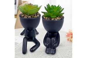 ODIWEN 2Pcs Plantas Suculentas Artificiales, Planta Artificial Decorativa, Pequeñas Plantas Artificiales, Plantas Decoración Suculentas, Mini Plantas Falsas de Plástico, Plantas Artificiales Pequeñas