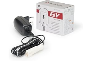 INJUSA - Chargeur pour Batterie au Plomb 6V Compatible Uniquement avec Les Véhicules Électriques Injusa 6V | Motos | Voitures | Quads à Batterie