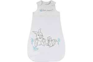 Ex UK Store Baby Sleeping Bag Character 1.5 Tog Wearable Blanket Sizes 0/6 6/12 12/18M Sleepsacks (Hello Friend 0-6M)