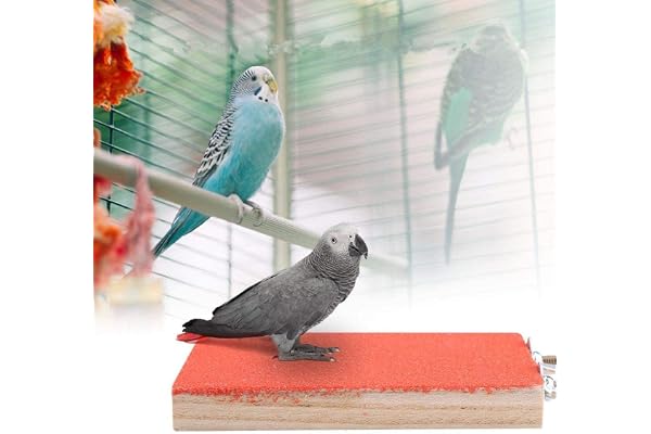 Oiseau Perche Stand en Bois Naturel Rough Plate-Forme Jouet Terrain De Jeux Patte De Meulage Propre Givré Conseil pour Pet Perroquet Hamster Écureuil(Red)