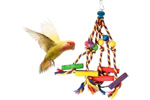 PLUSHCEWT Giochi per Pappagalli,Giocattolo Colorato da Masticare per Uccelli,Giocattoli in Legno per Cacatuaper Pappagallini per Piccoli Parrocchetti,Cacatua, Pappagallini, Uccellini