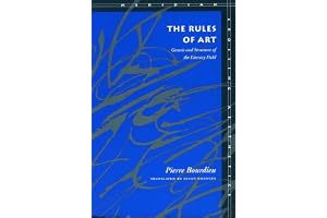 The Rules of Art: Genesis and Structure of the Literary Field