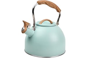 WISEBOM Zsanhua Bouilloire sifflante en acier inoxydable pour cuisinière à gaz, induction et plaques électriques 3 l