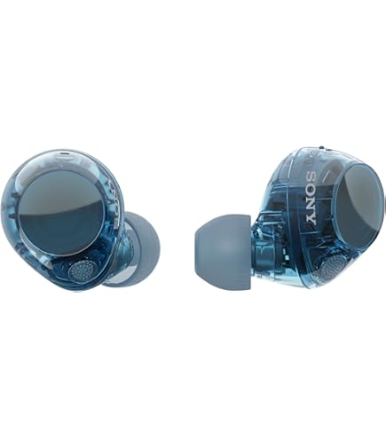 Sony WF-C510 Auricolari Bluetooth True Wireless - Nero (WFC510/B) - Usati Buone Condizioni