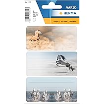 6 Etichette Autoadesive Per Libri Con Cavalli - 76x35 Mm, Rigate, Multicolore Per Scuola - Foto 6