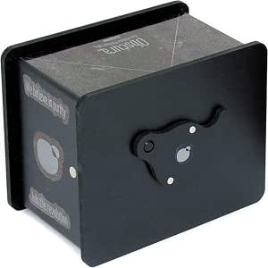 pinhole ilford