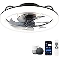 CHANFOK Smart Ceiling Fans with Lights, 20'' Low Profile Ceiling Fan with Remote and App Control, Flush Mount Ceiling Fan with Voice Control, Compatible with Alexa & Google Home (Black)
