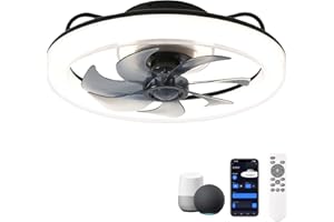 CHANFOK Smart Ceiling Fans with Lights, 20'' Low Profile Ceiling Fan with Remote and App Control, Flush Mount Ceiling Fan with Voice Control, Compatible with Alexa & Google Home (Black)