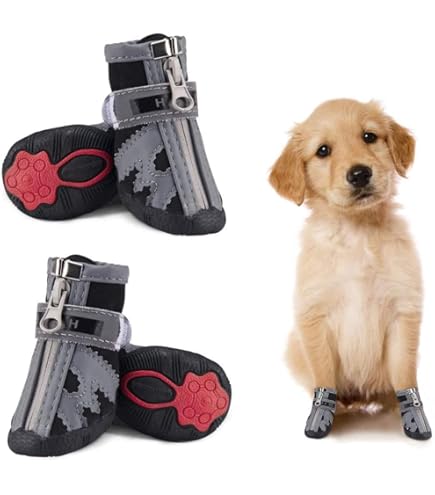 Scarpe Impermeabili Per Cani Bella & Balu - 4 Stivaletti Con Suola Antiscivolo E Dettagli Riflettenti, Taglia S (6cm) - Foto 11