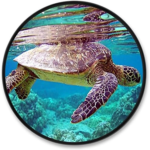 Fashion Turtle Expanding Stand and Grips For Phone Ipad Tab