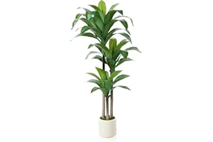 ‎KAZEILA Kazeila Künstlicher Drachenbaum 150cm Artificial Kunstpflanzen groß, Plastik Künstliche Pflanzen,Tropische Dracaena Fragans Pflanze mit Töpfen für Wohnzimmer Büro Garten Dekoration(1Pack)