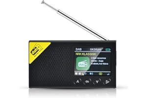 TKMARS DAB Radio digitale stereo FM Ricevitore USB 3.5 mm connettore Bluetooth 5.0 2.4 pollici Display Mini radio portatile ricaricabile DAB/DAB Plus lettore musicale