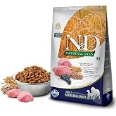 N&D Ancestral Grain Kuru K&ouml;pek Maması, Kuzu, Kıl&ccedil;ıksız Buğday, Yulaf ve Yabanmersinli, Yetişkin Medium ve Maxi, 2.5 kg