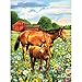 Produktbild Royal Brush verschiedenen Junior kleine Malen nach Zahlen Kit 8.75-inch X 11.75-inch, Pferd in Field