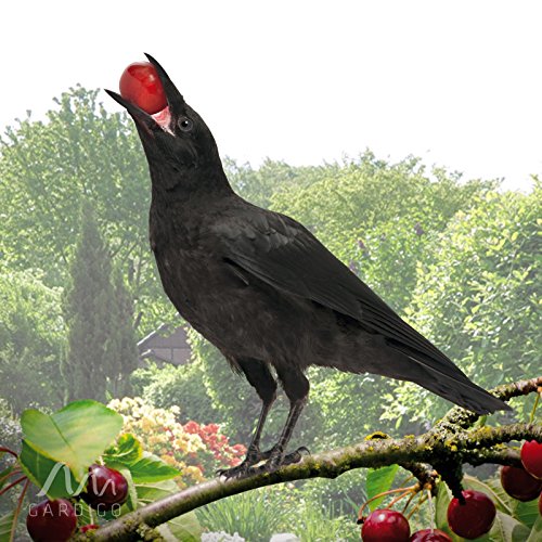 Gardigo Solar Vogelabwehr elektronische Vogelscheuche mit Ultraschall und Blitzlicht - 4