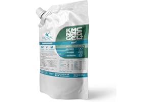 KENDAL MINT CO. (KMC) KMC NRG Gel+: Caffeine Energy Gel Refill Pouch – Mint Flavour | 27g Carbs, Electrolytes, B Vitamins, Vegan & Gluten Free (10x70g Serves)