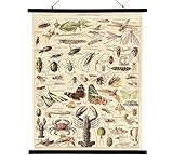 Dieses originelle Wandbild aus Leinen und Holz sieht aus, als stammt es aus einem alten Klassenzimmer und gibt einen kleinen Einblick ins Reich der Tiere!