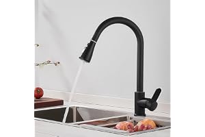 XWIHTR Utdragbar kökskran, 360° svängbar, vattenbesparande design, tyst ventilkärna, anti-dräneringsblockering, 3-läge rostfr