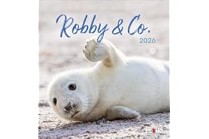 Robby & Co. Postkartenkalender 2026: Robben und Seehunde in natürlicher Umgebung in einem kleinen Kalender. Postkarten-Fotokalender für Tierfreunde ... oder Aufhängen (Postkartenkalender Eiland)