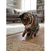 Şarj Edilebilir Otomatik Kedi Lazeri - Boyun Askılı İnteraktif Kedi Oyuncağı Eğitici &amp; Egzersiz
