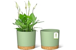 ZMTECH Lot de 2 pots de fleurs, ronds, en plastique, avec soucoupe et trous de drainage, pour plantes d'intérieur et d'extérieur, 20 cm de diamètre, verts
