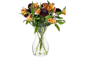 ‎TREND FOR HOME TREND FOR HOME Blumenvase 25 cm Vase für Tulpen Tulpenvase Glasvase für Blumen Glasblumenvase Tischvase Dekovase Klarglasvase Deko-Vase Wohnzimmer Deko Dekorative Vase | ⌀ 14 cm | 2410 ml | Lily