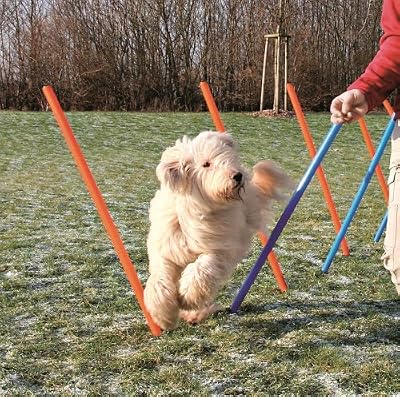Trixie Dog Activity Agilité Slalom 115 x 3 cm 12 Pièces Bleu / Orange