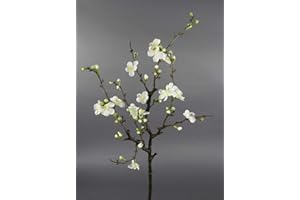 SEIDENBLUMEN ROß Kirschblütenzweig/AST 75x30cm weiß GA Kunstblumen Seidenblumen künstliche Kirschblüten Zweige Blumen